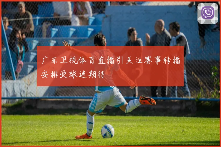 广东卫视体育直播引关注赛事转播安排受球迷期待