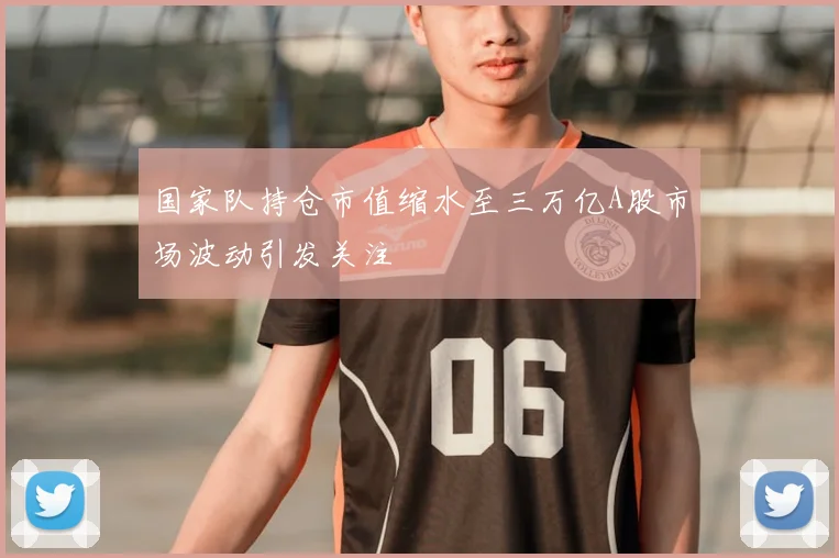 国家队持仓市值缩水至三万亿A股市场波动引发关注