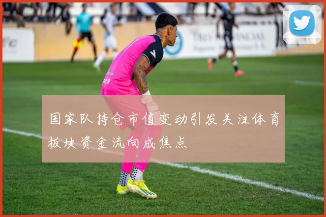 国家队持仓市值变动引发关注体育板块资金流向成焦点