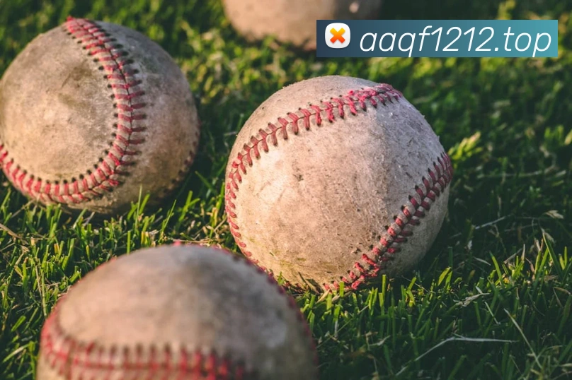 世界杯指定官网品牌故事