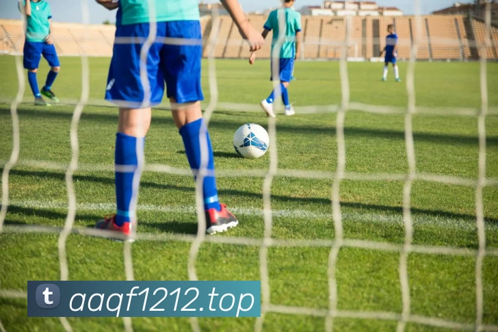 世界杯指定官网服务体系